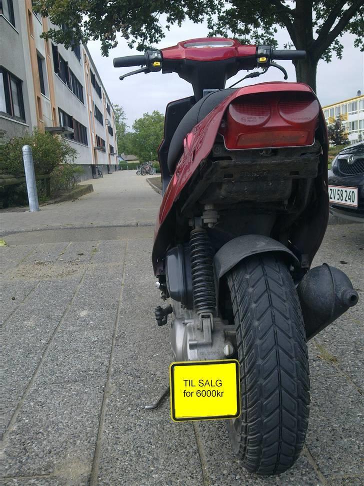 PGO hot 50 :( billede 4