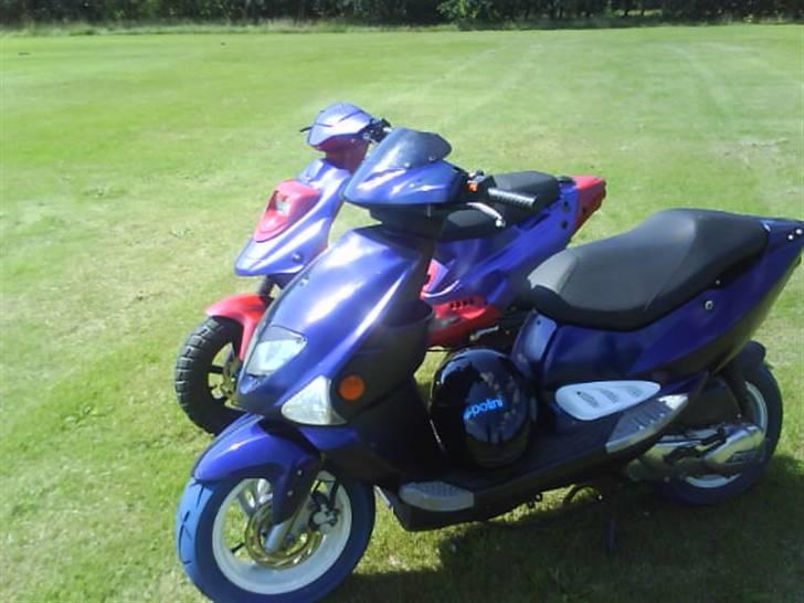 PGO Hot 50  SOLGT! billede 6