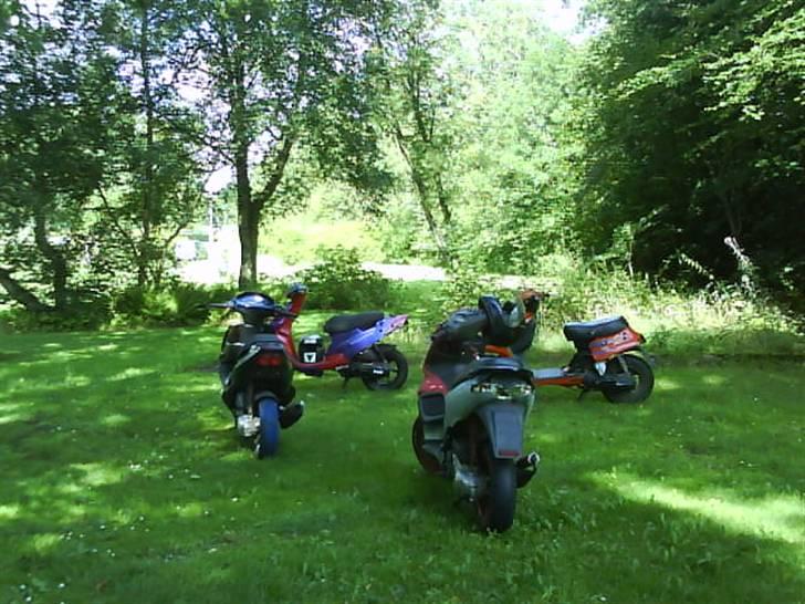 PGO Hot 50  SOLGT! billede 13