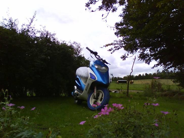 Honda Sfx AC Projekt 09 billede 10