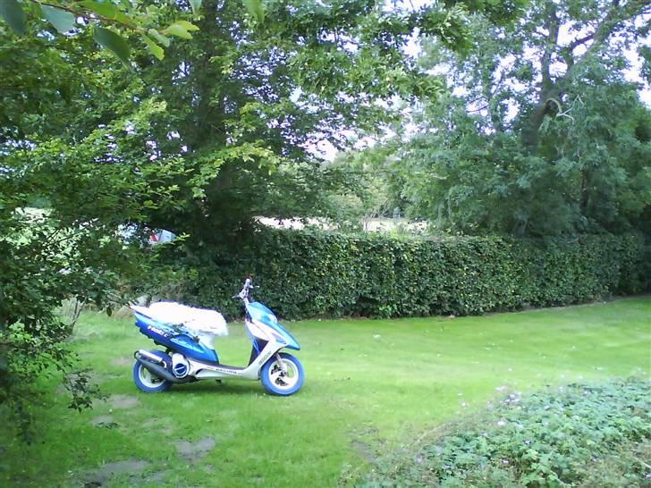 Honda Sfx AC Projekt 09 billede 11