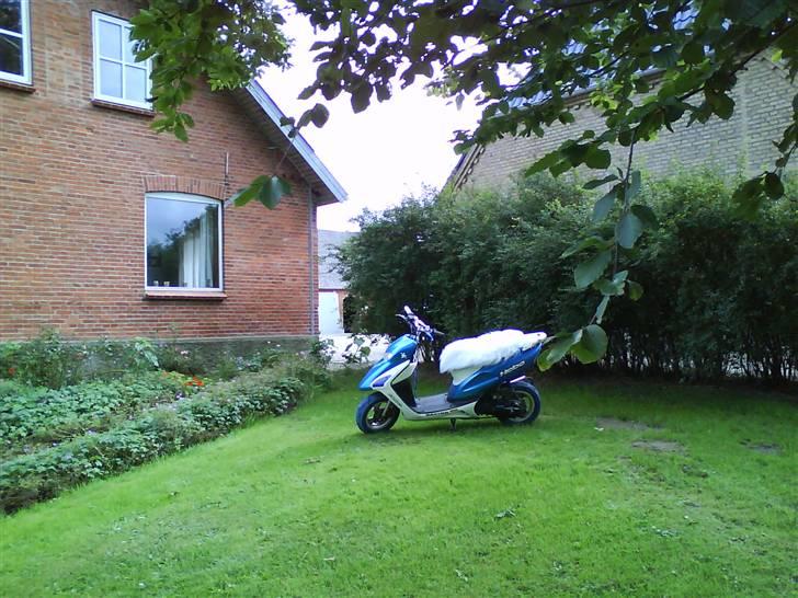 Honda Sfx AC Projekt 09 billede 12