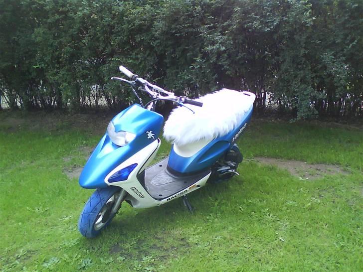 Honda Sfx AC Projekt 09 billede 17