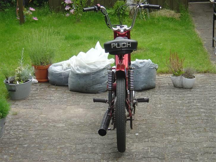 Puch maxi kl     solgt billede 2