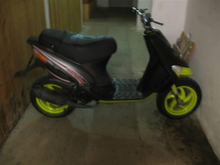 Gilera stalker byttet billede 5