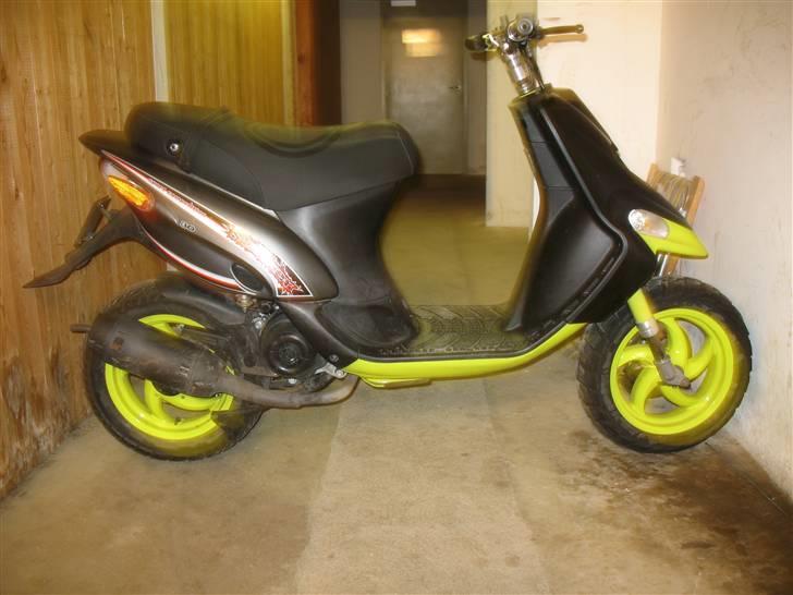 Gilera stalker byttet billede 6