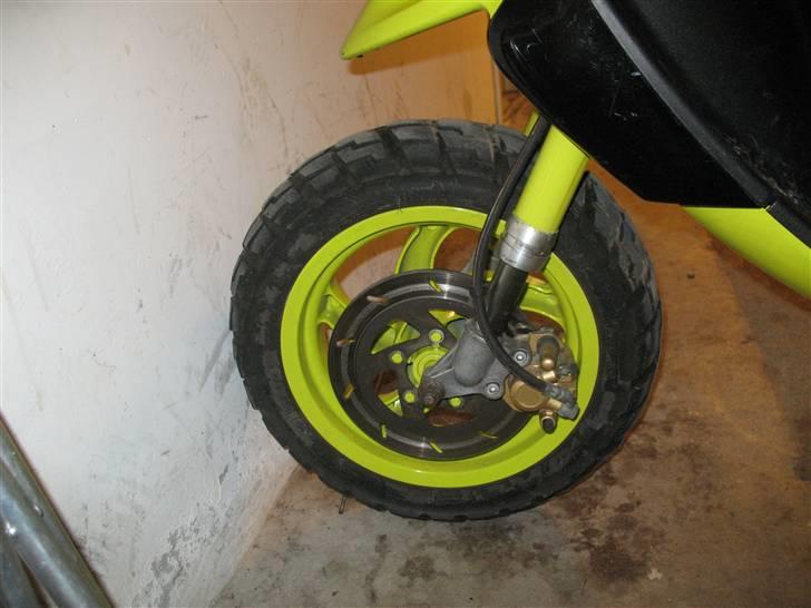 Gilera stalker byttet billede 8