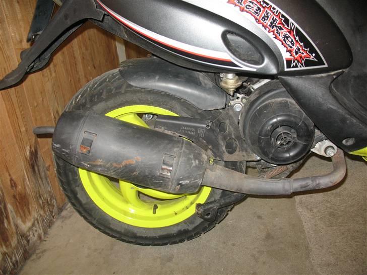 Gilera stalker byttet billede 11