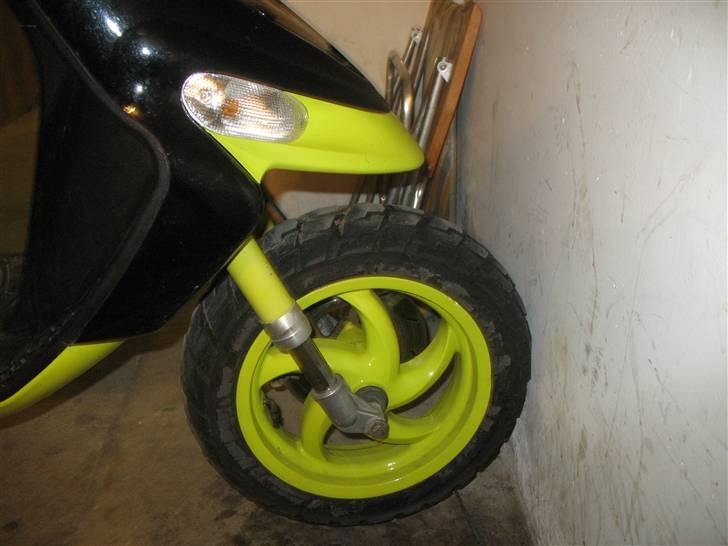 Gilera stalker byttet billede 12