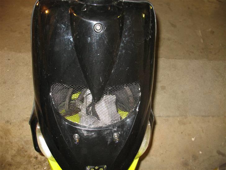 Gilera stalker byttet billede 13