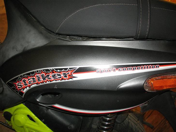 Gilera stalker byttet billede 15