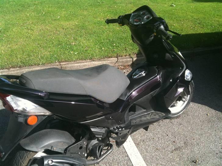 PGO g-max solgt billede 2