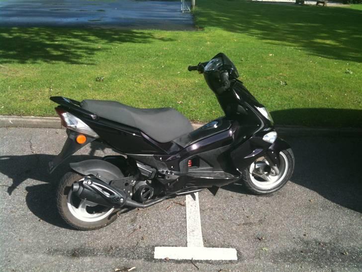 PGO g-max solgt billede 3