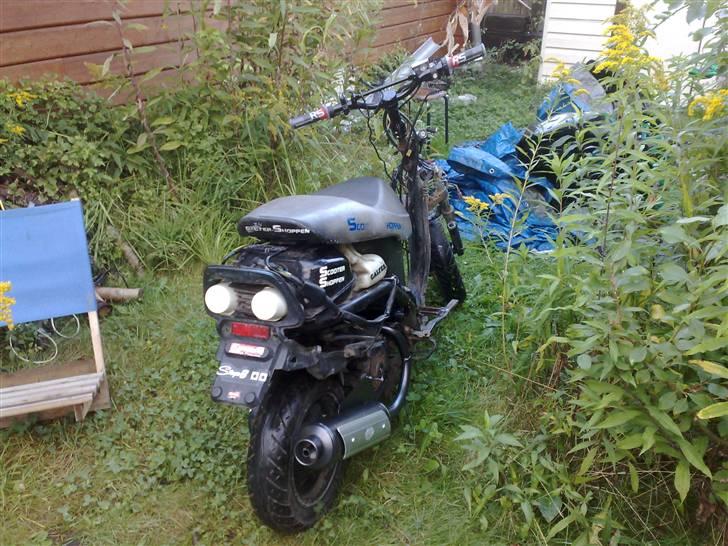 Honda SFX [Solgt] - Nu.. billede 12