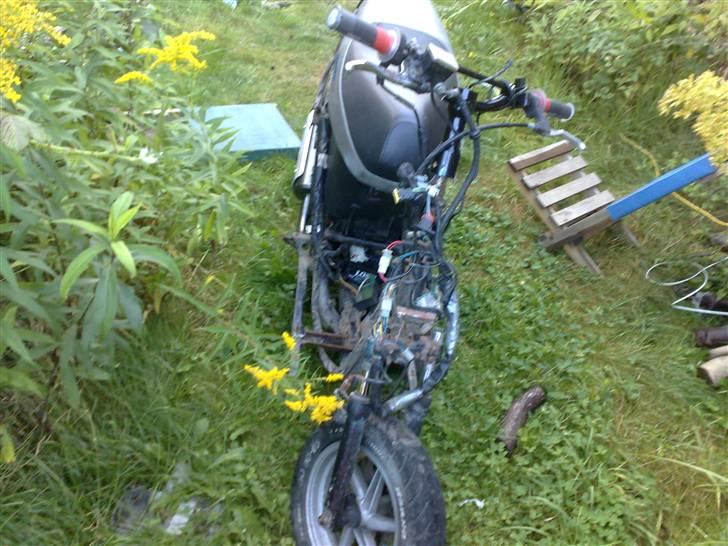 Honda SFX [Solgt] billede 13