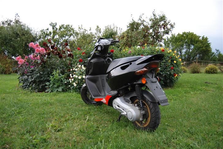 Aprilia sonic Solgt billede 1