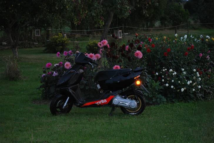 Aprilia sonic Solgt billede 2