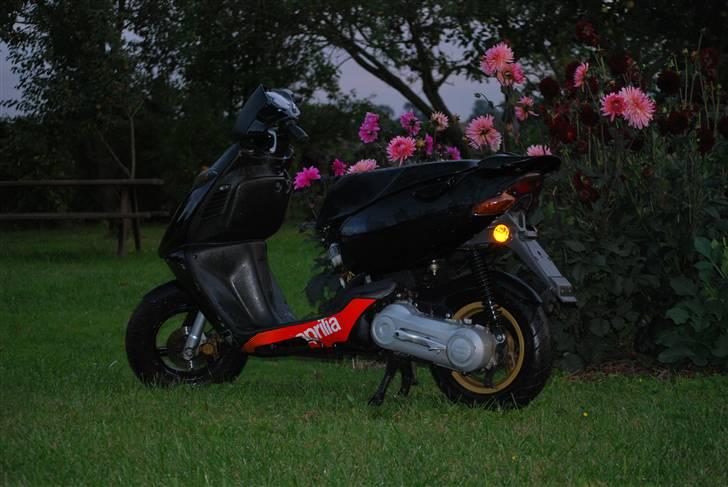 Aprilia sonic Solgt billede 3