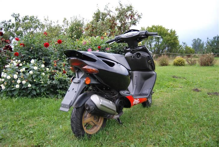 Aprilia sonic Solgt billede 4