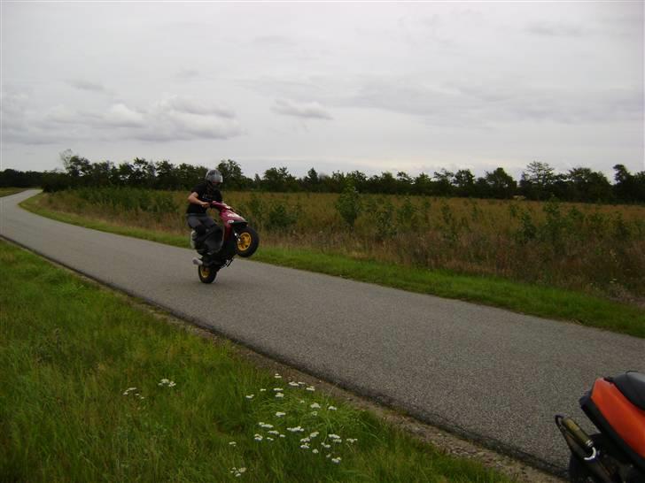 Gilera Stalker [Konfiskeret] billede 13