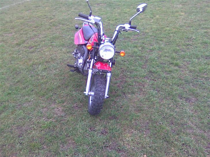 Baotian monkey (solgt) billede 2