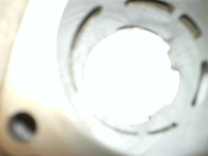 Piaggio Zip / Den døde kat...  billede 6