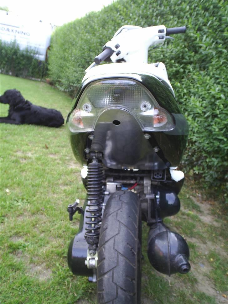 Aprilia Sonic billede 7