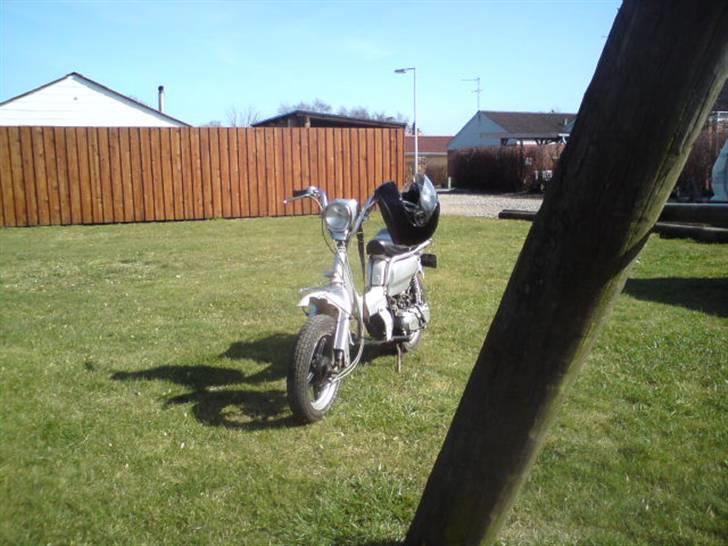 Suzuki fz 50            byttet billede 3