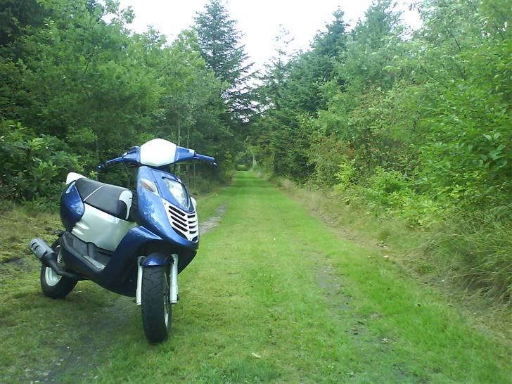 Aprilia Sonic GP AC ~Byttet ~ billede 17