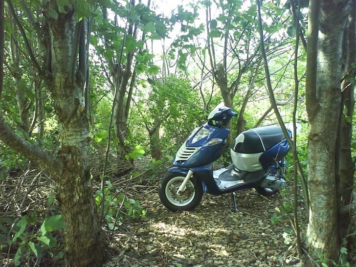 Aprilia Sonic GP AC ~Byttet ~ billede 19