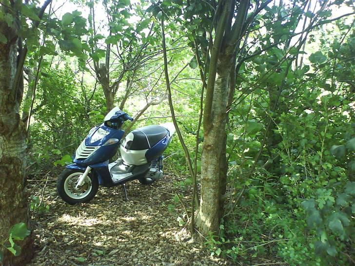 Aprilia Sonic GP AC ~Byttet ~ billede 20