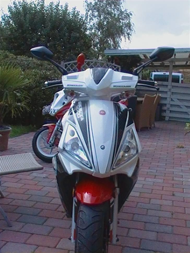 Kreidler Rmch Glacatica 50 DD billede 1