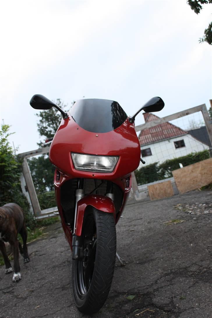 Aprilia rs50/solgt billede 1