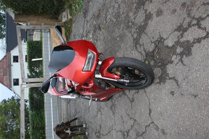 Aprilia rs50/solgt billede 4