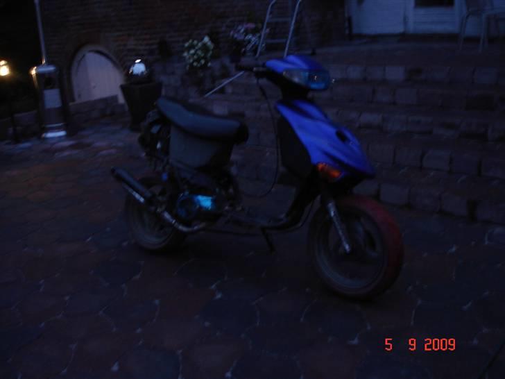 Adly silverfox solgt. billede 1