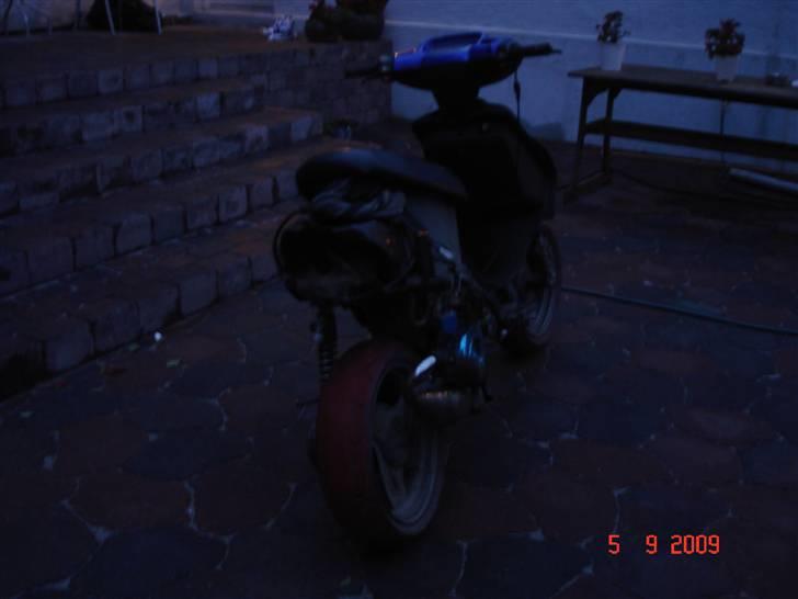 Adly silverfox solgt. billede 2