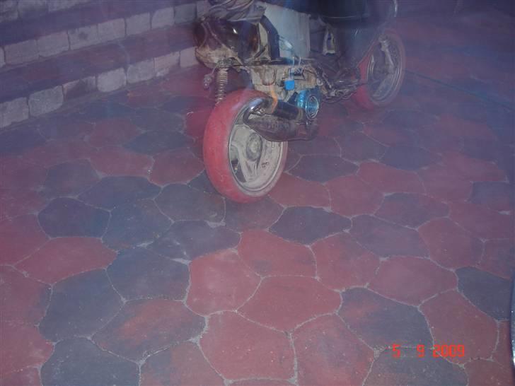 Adly silverfox solgt. billede 3