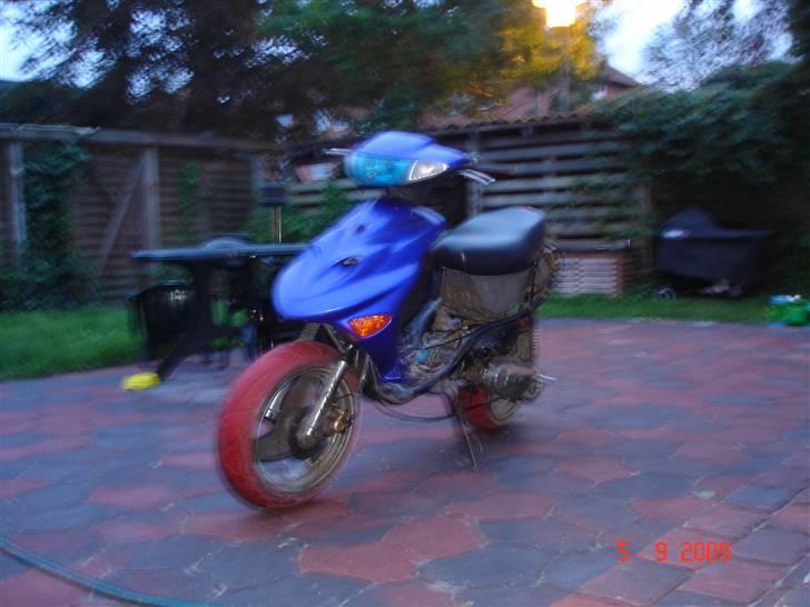 Adly silverfox solgt. billede 4