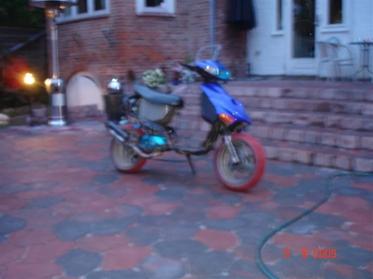 Adly silverfox solgt. billede 5