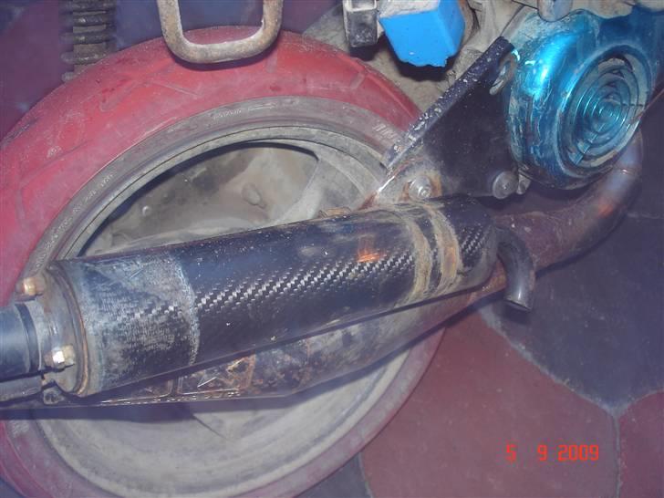 Adly silverfox solgt. billede 6