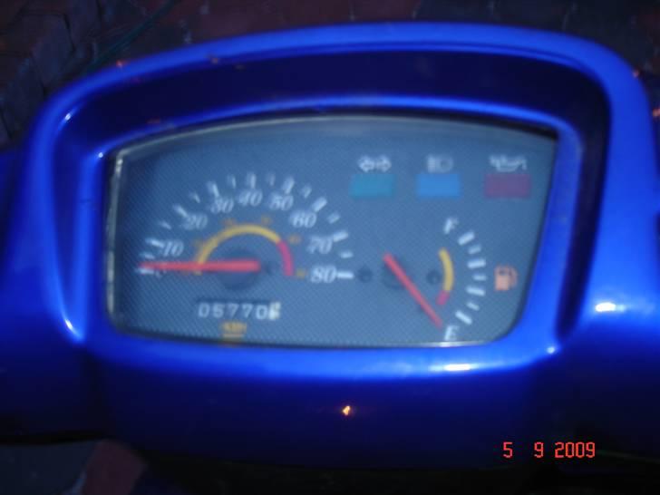 Adly silverfox solgt. billede 7