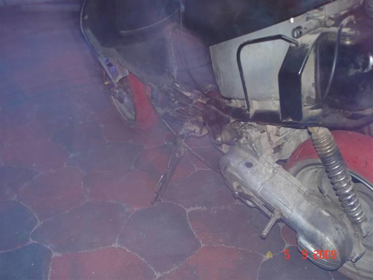 Adly silverfox solgt. billede 8