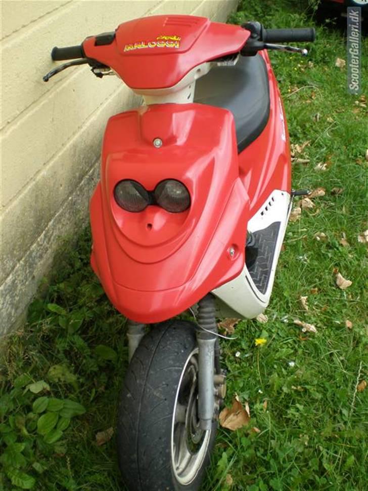 PGO Hot 50 (solgt) billede 1