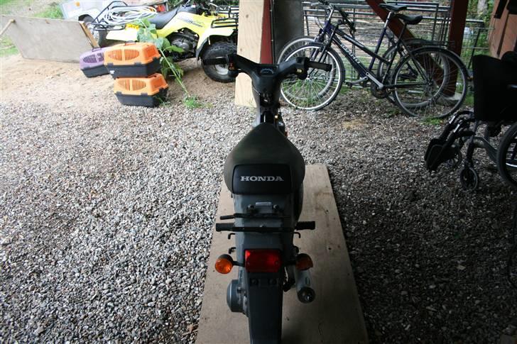 Honda Wallaroo billede 2