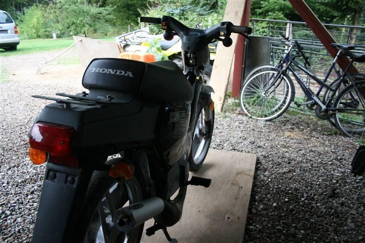 Honda Wallaroo billede 3