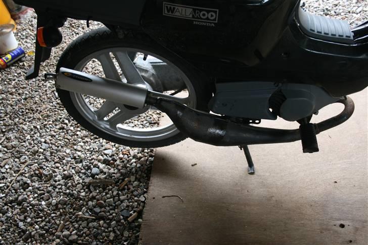 Honda Wallaroo billede 5