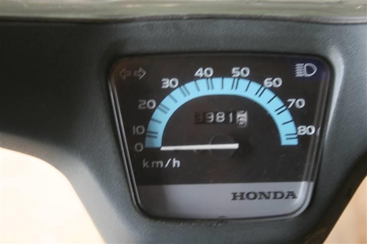 Honda Wallaroo billede 7