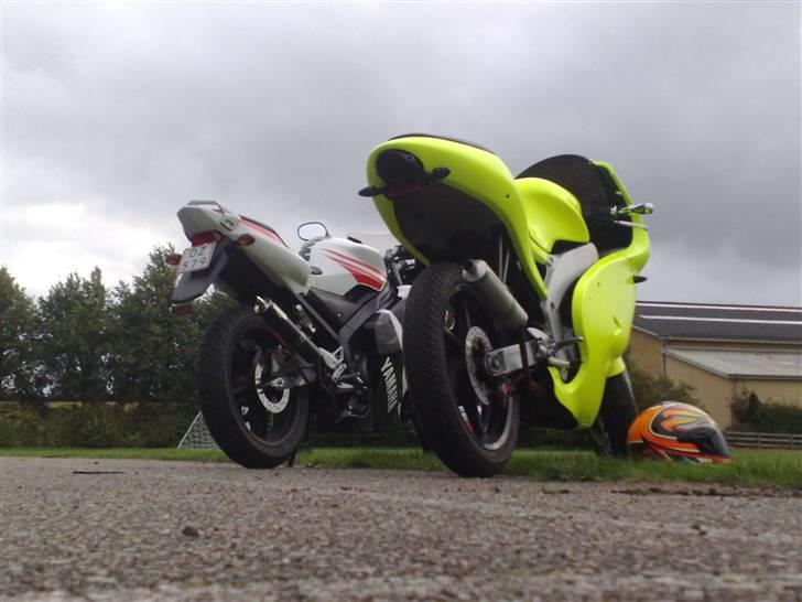 Yamaha TZR 50 billede 9