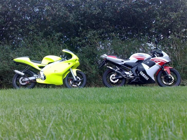 Yamaha TZR 50 billede 10