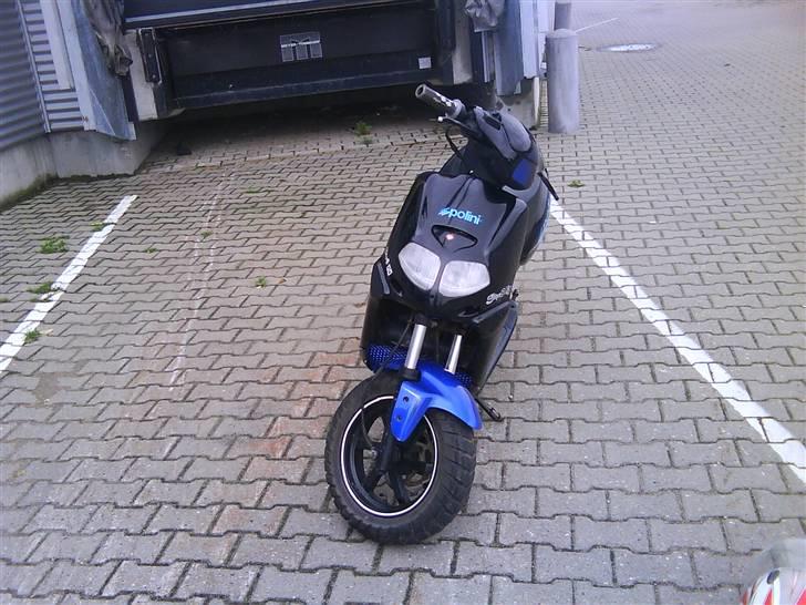 Aprilia rally  solgt billede 2